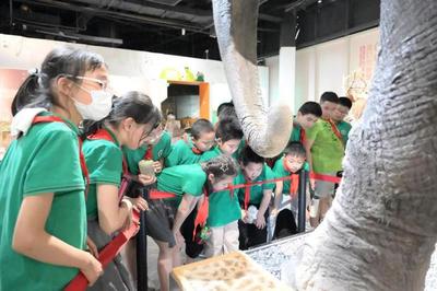 揭秘自然來(lái)信，共建綠色家園 | 青少年科學(xué)講壇引領(lǐng)自然探索新風(fēng)尚