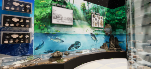 青藏高原綜合科學(xué)考察與研究古生物展廳 在拉薩之巔，探尋生命演化的史詩